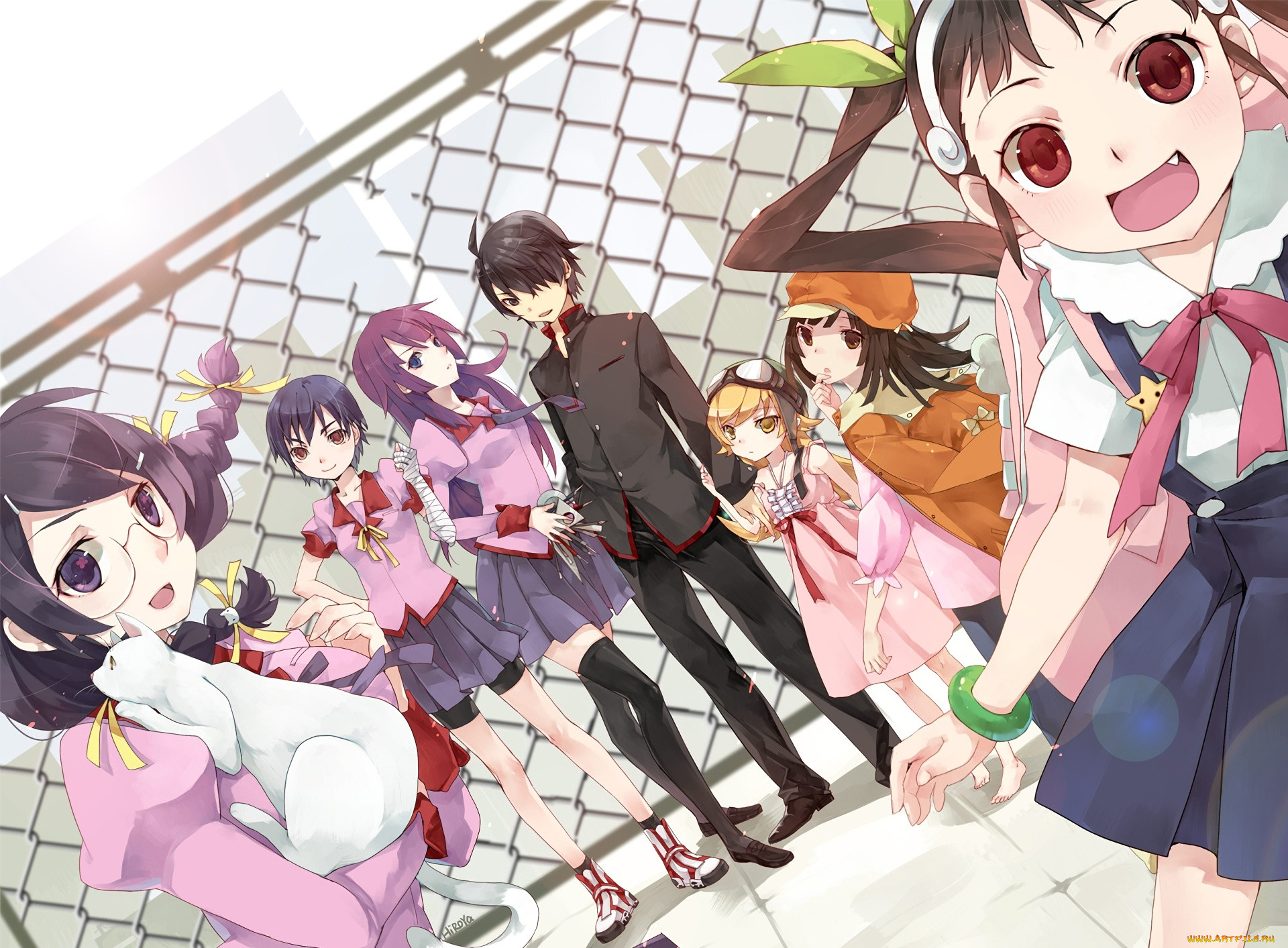, bakemonogatari, , , 